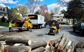 Best Tree Preservation Services  in Aurora, NE